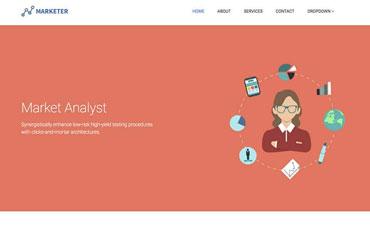 طراحی سایت بازاریاب1